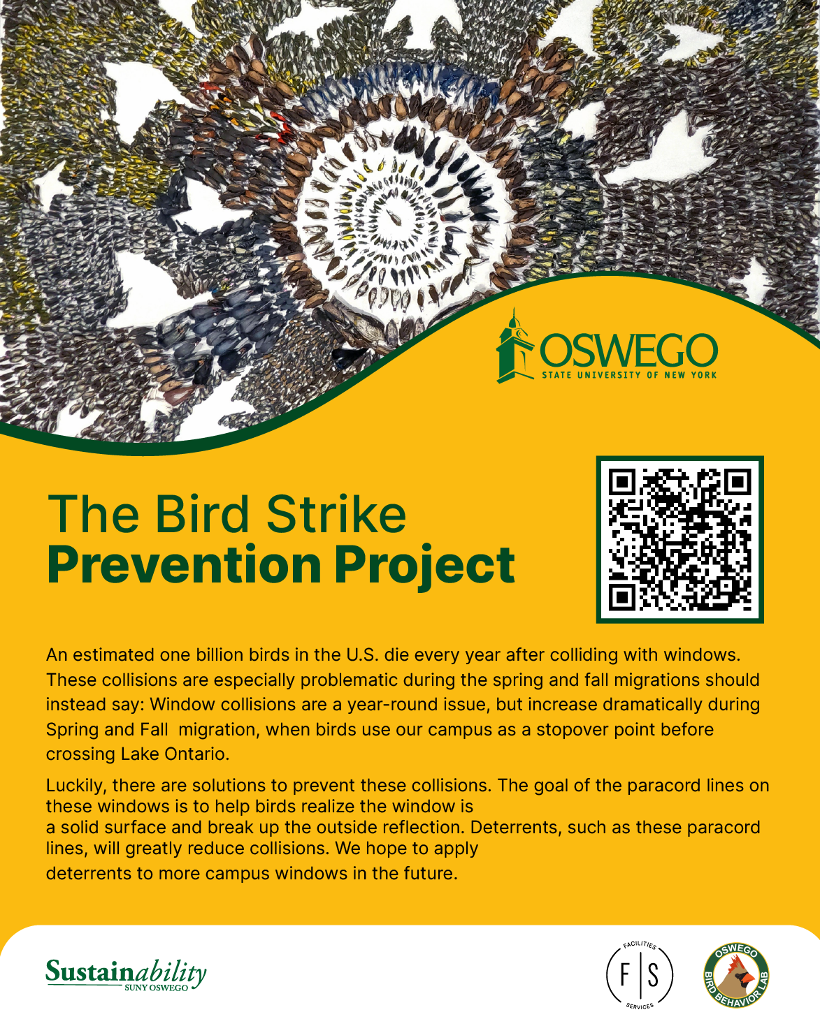 poster about bird prevention project